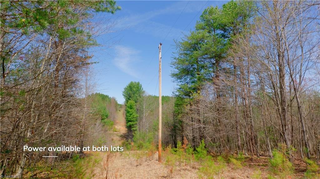 311 Phillips Road Dobson, NC 27017 - Photo 22 of 41