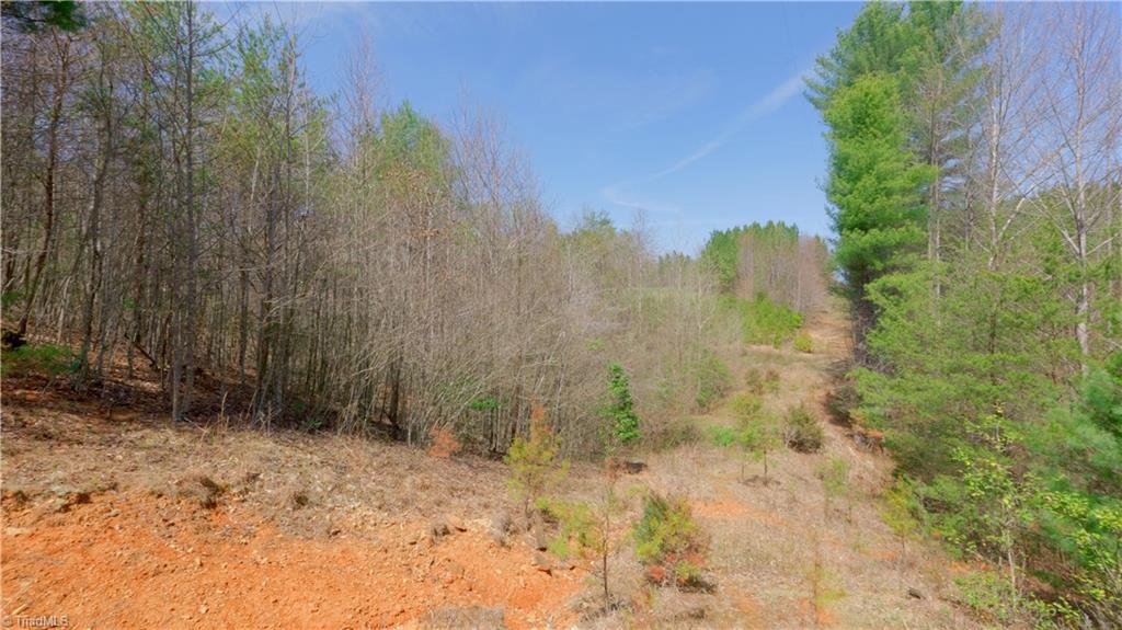 311 Phillips Road Dobson, NC 27017 - Photo 23 of 41