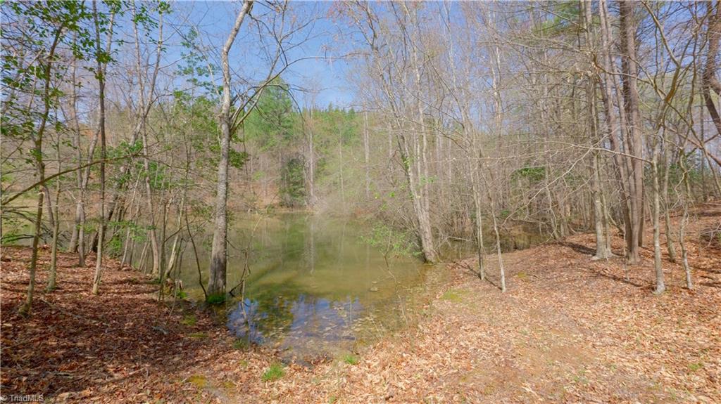 311 Phillips Road Dobson, NC 27017 - Photo 24 of 41