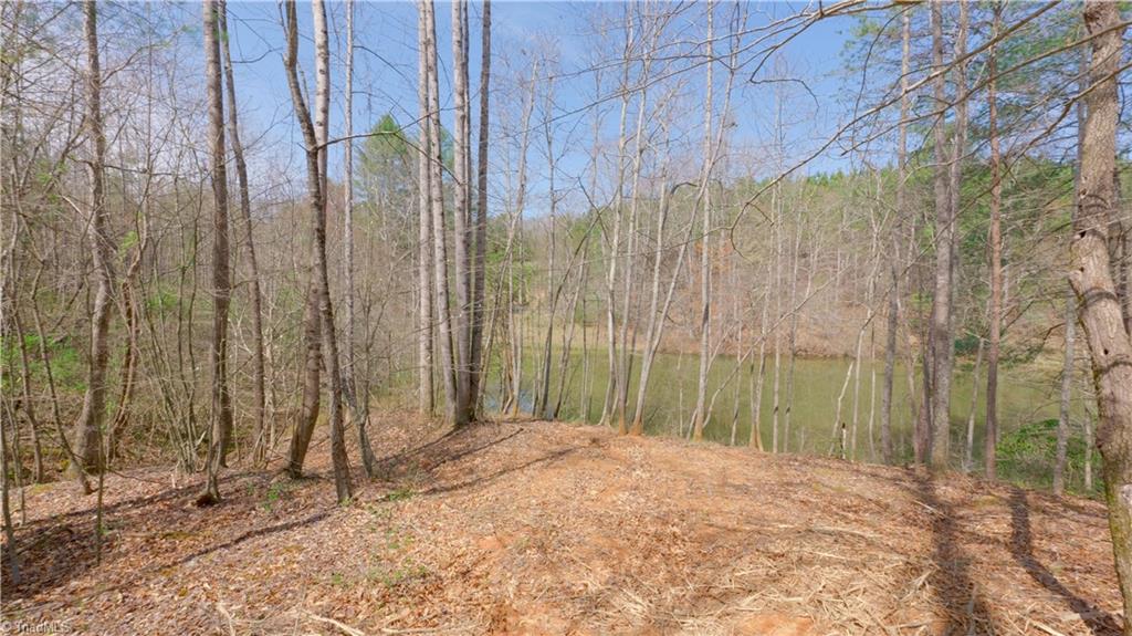 311 Phillips Road Dobson, NC 27017 - Photo 25 of 41