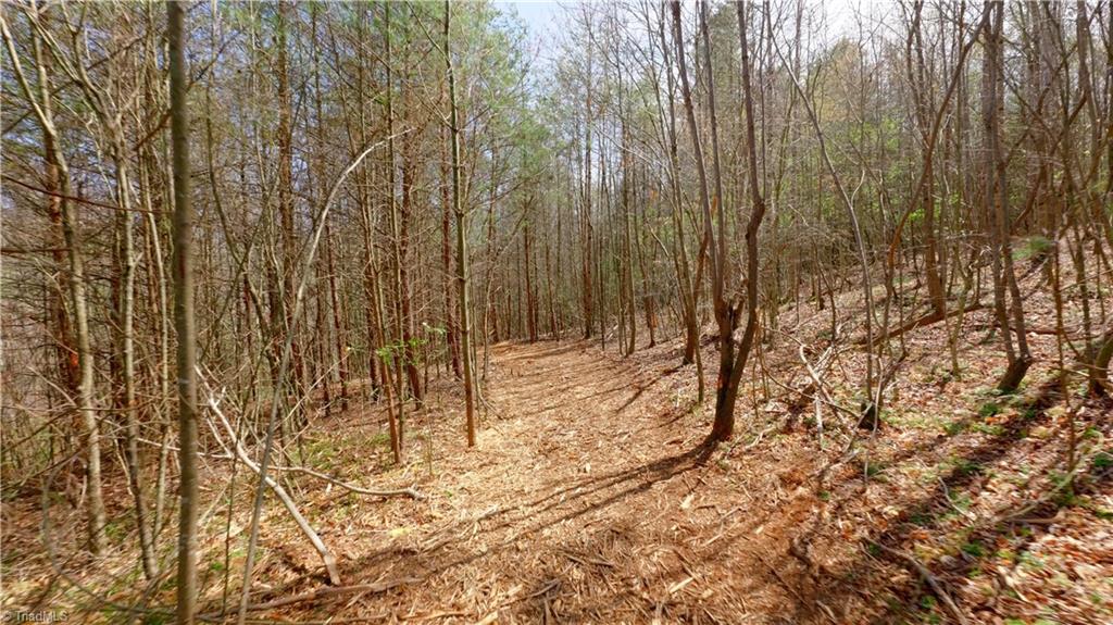 311 Phillips Road Dobson, NC 27017 - Photo 26 of 41