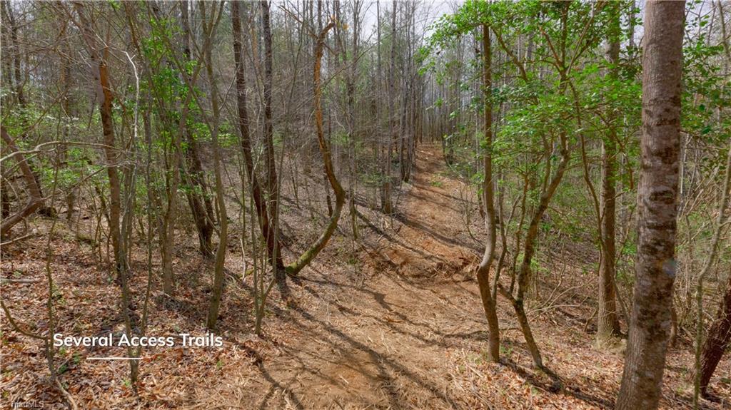 311 Phillips Road Dobson, NC 27017 - Photo 27 of 41