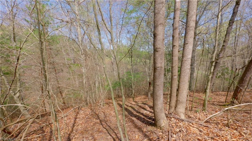 311 Phillips Road Dobson, NC 27017 - Photo 28 of 41