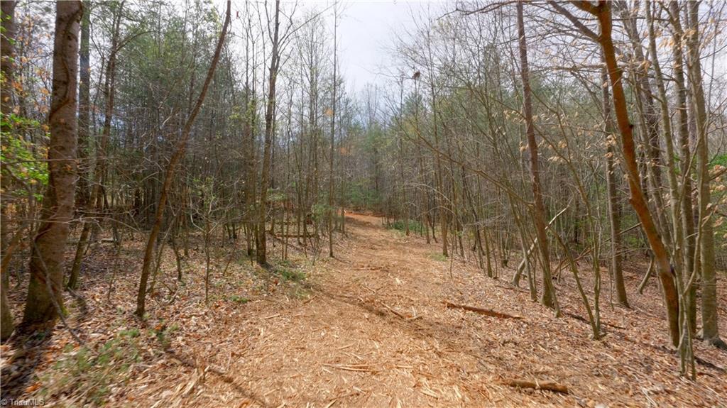 311 Phillips Road Dobson, NC 27017 - Photo 29 of 41