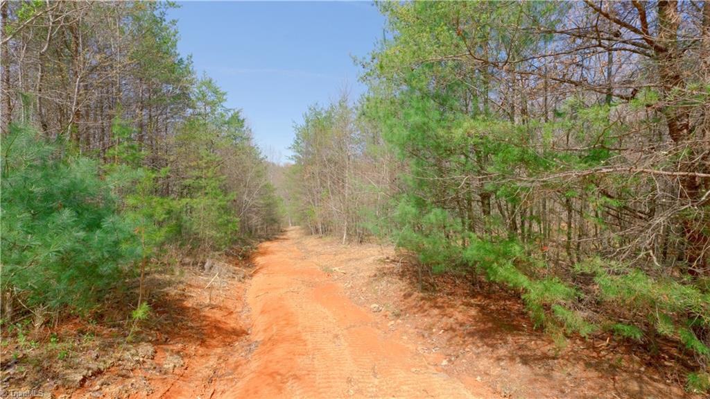 311 Phillips Road Dobson, NC 27017 - Photo 31 of 41