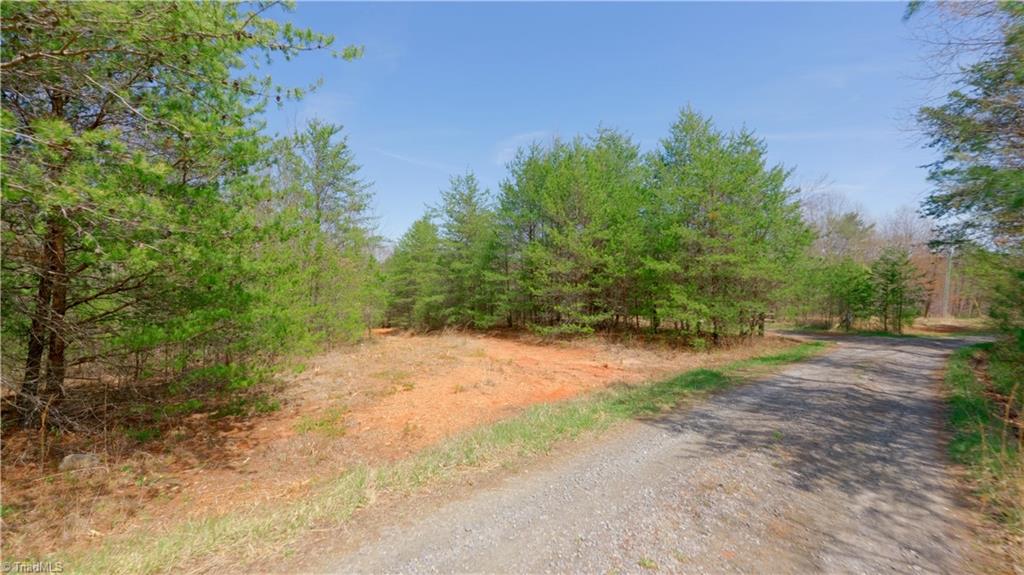 311 Phillips Road Dobson, NC 27017 - Photo 32 of 41