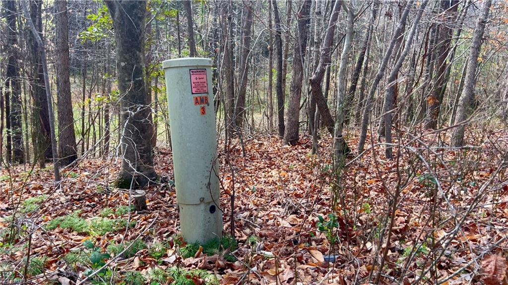 311 Phillips Road Dobson, NC 27017 - Photo 33 of 41