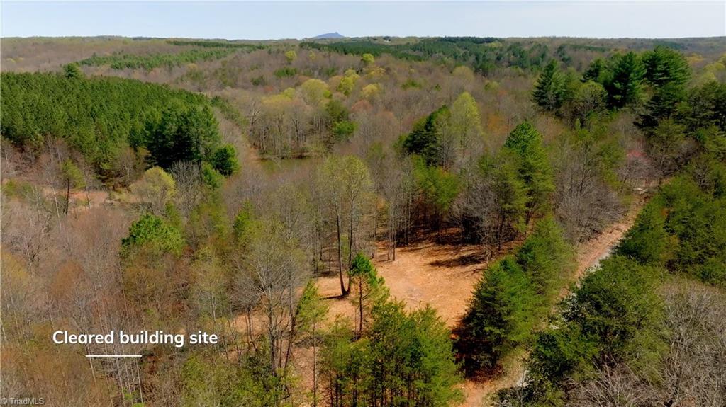 311 Phillips Road Dobson, NC 27017 - Photo 9 of 41