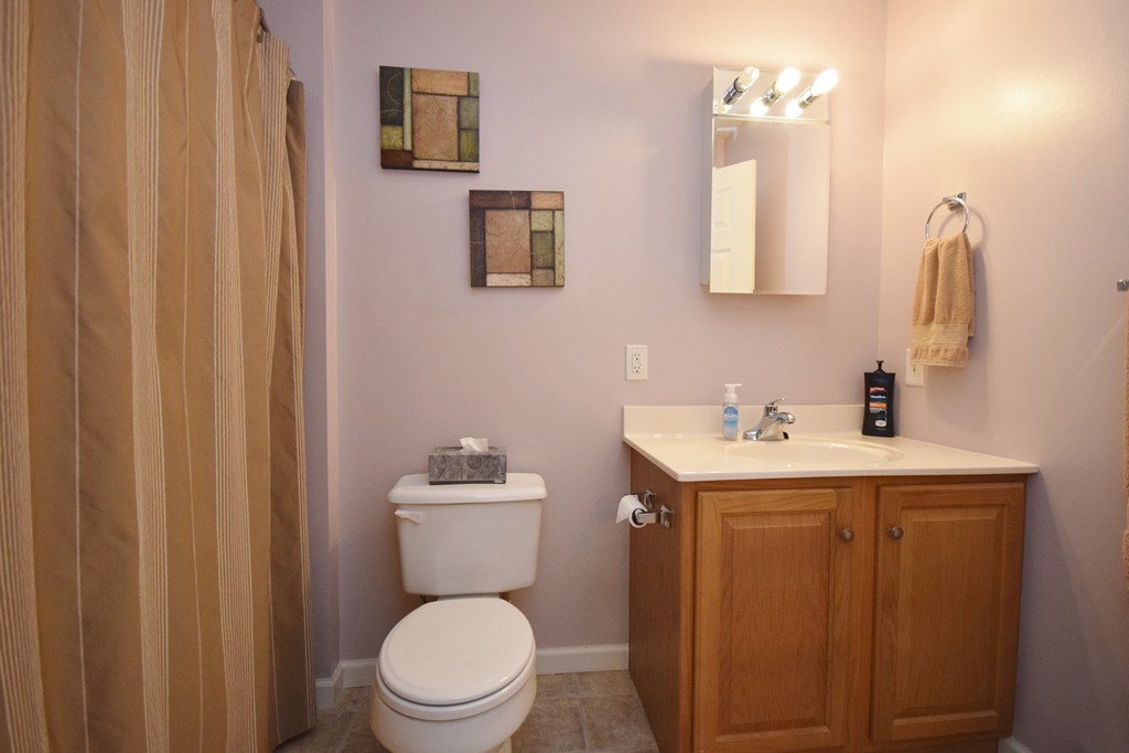 142 Benz Street Springfield, MA 01118 - Photo 8 of 30 a bathroom with a toilet sink vanity and mirror