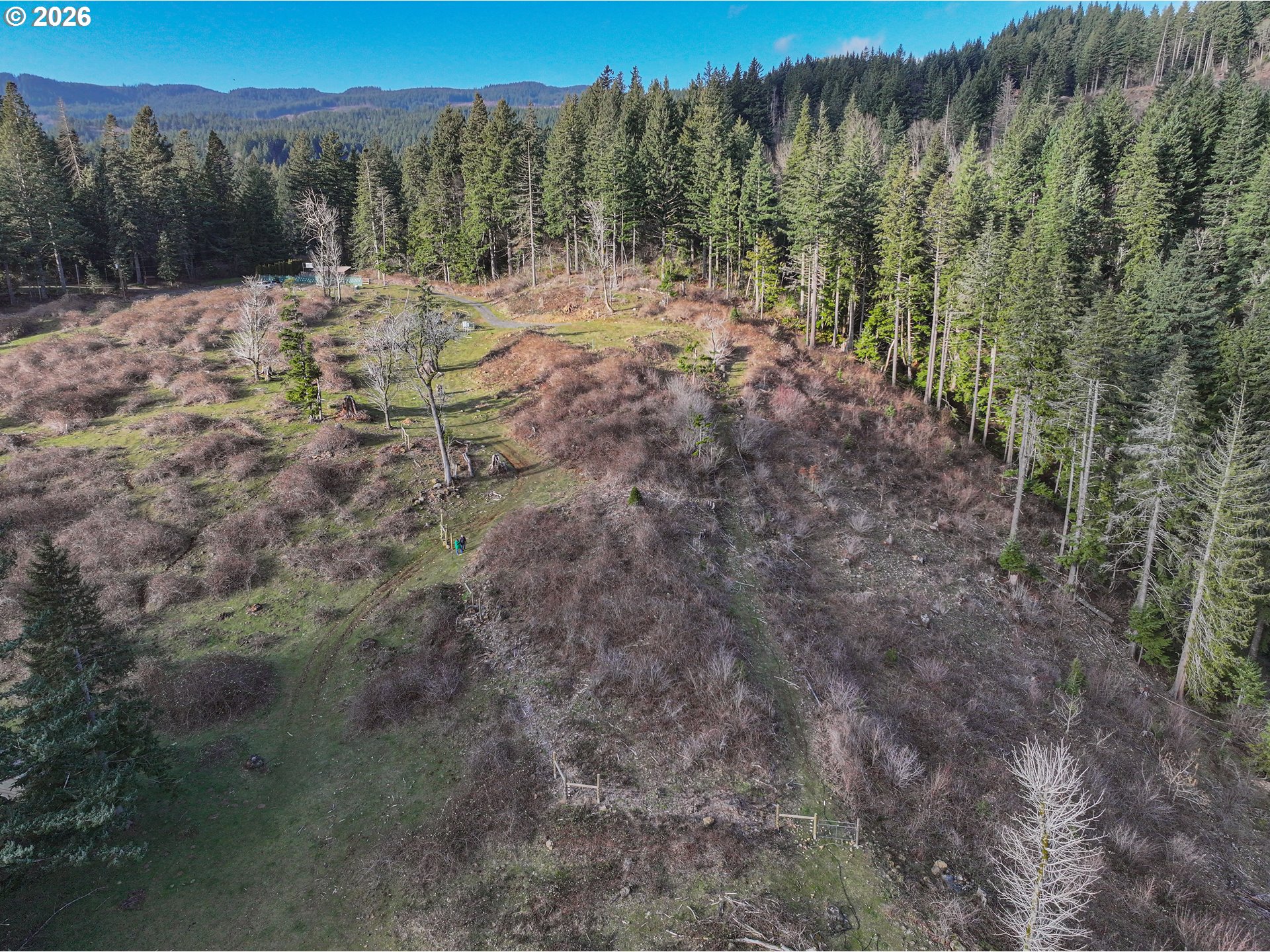 562 Woodard Creek Road Stevenson, WA 98648 - Photo 26 of 33