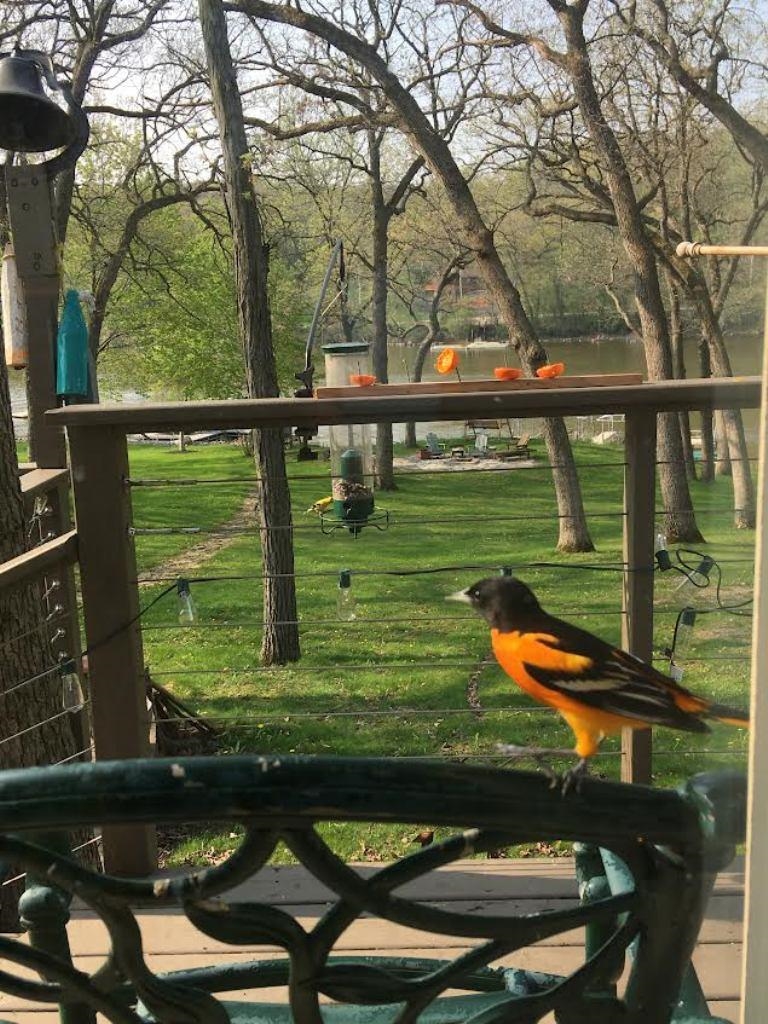 284 East Richardson Springs Road Edgerton, WI 53534 - Photo 30 of 80