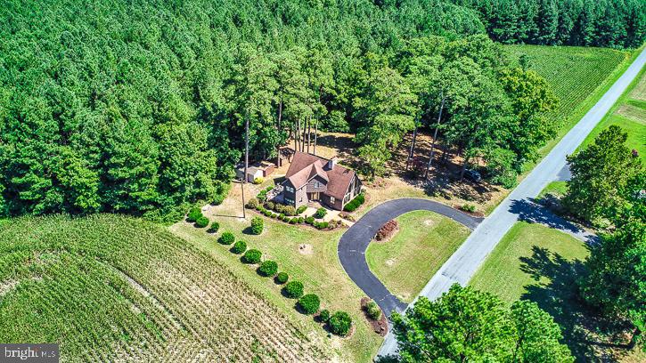 6090 Massey Crossing Road Willards, MD 21874 - Photo 3 of 97