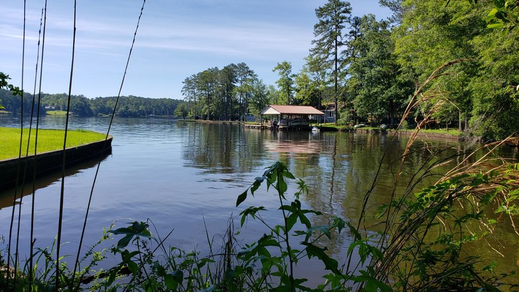 3 A Humber Ferry Road Eatonton, GA 31024 - Photo 1 of 5 Main View