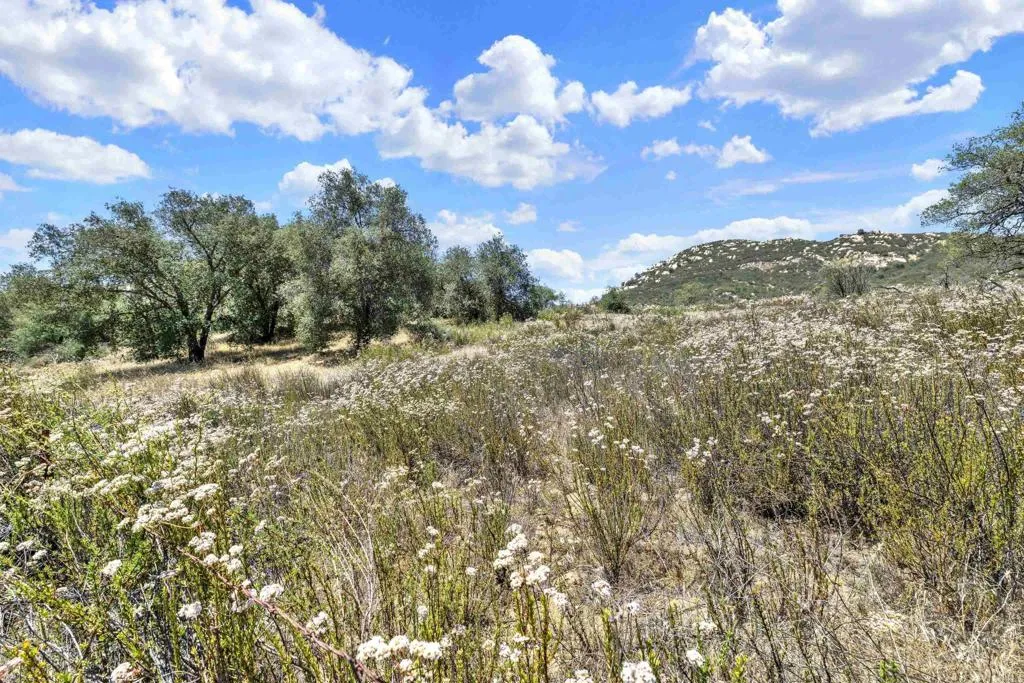 5 Honey Springs Road Jamul, CA 91935 - Photo 10 of 21