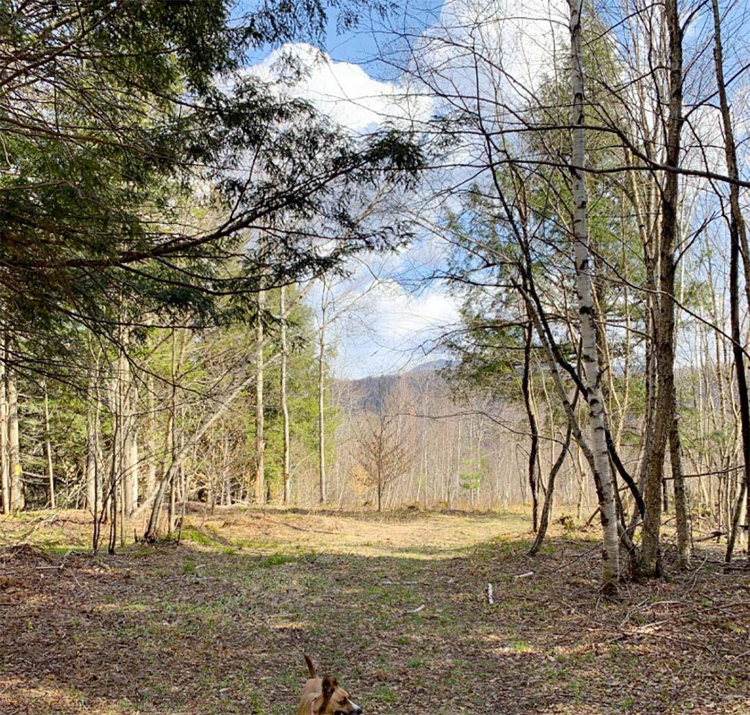 2991 Corliss Road Richford, VT 05476 - Photo 1 of 17 Gallery Image 1