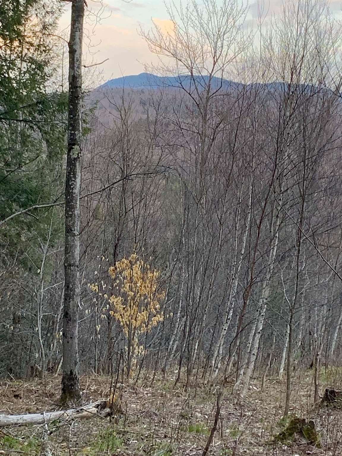 2991 Corliss Road Richford, VT 05476 - Photo 12 of 17 Gallery Image 12