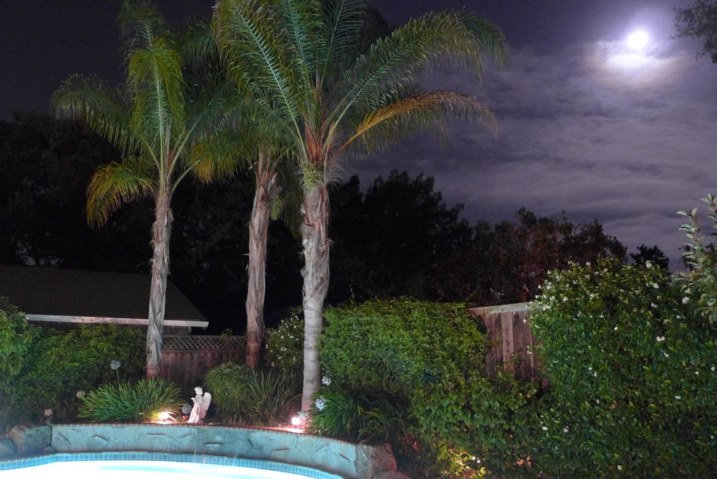 1068 Audrey Avenue Campbell, CA 95008 - Photo 41 of 47