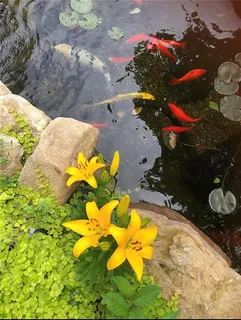 $399,950 | 17508 West 116th Street, Olathe, KS 66061