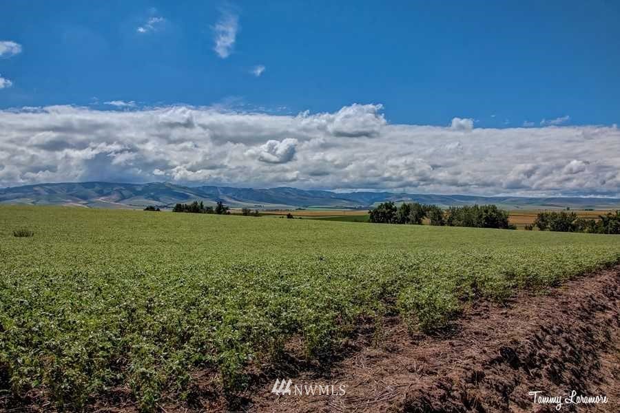2232 Depping Road Walla Walla, WA 99362 - Photo 29 of 29 Gallery Image 29