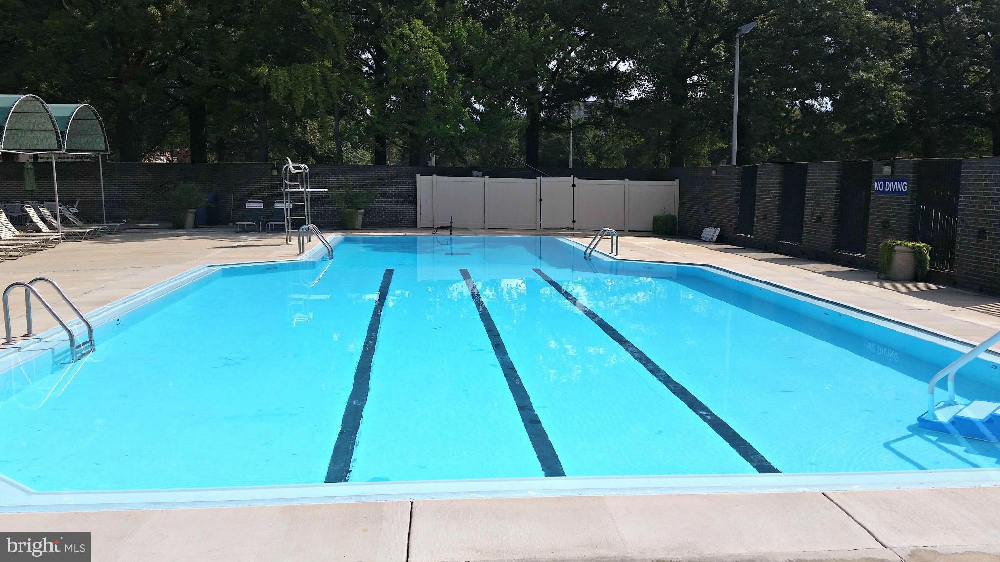1301 Delaware Avenue Southwest, Unit N523 Washington, DC 20024 - Photo 21 of 26 a view of backyard with swimming pool and outdoor space