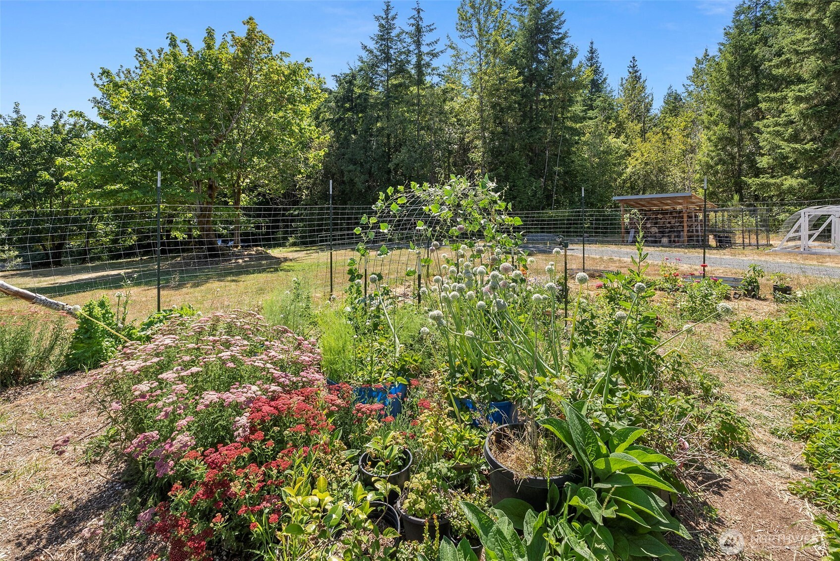 317 Cousins Road Chehalis, WA 98532 - Photo 29 of 40 a view of a lake with a house