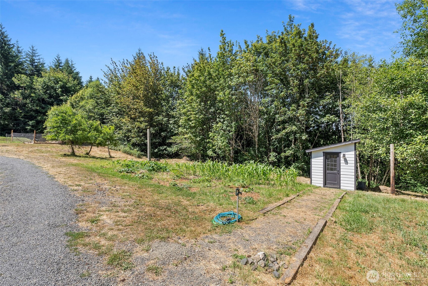 317 Cousins Road Chehalis, WA 98532 - Photo 30 of 40 a view of a backyard with large trees