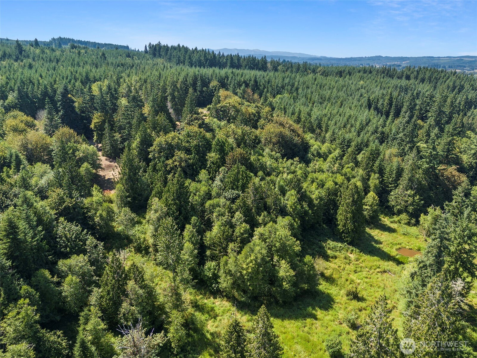 317 Cousins Road Chehalis, WA 98532 - Photo 37 of 40 a view of a city and lush green forest