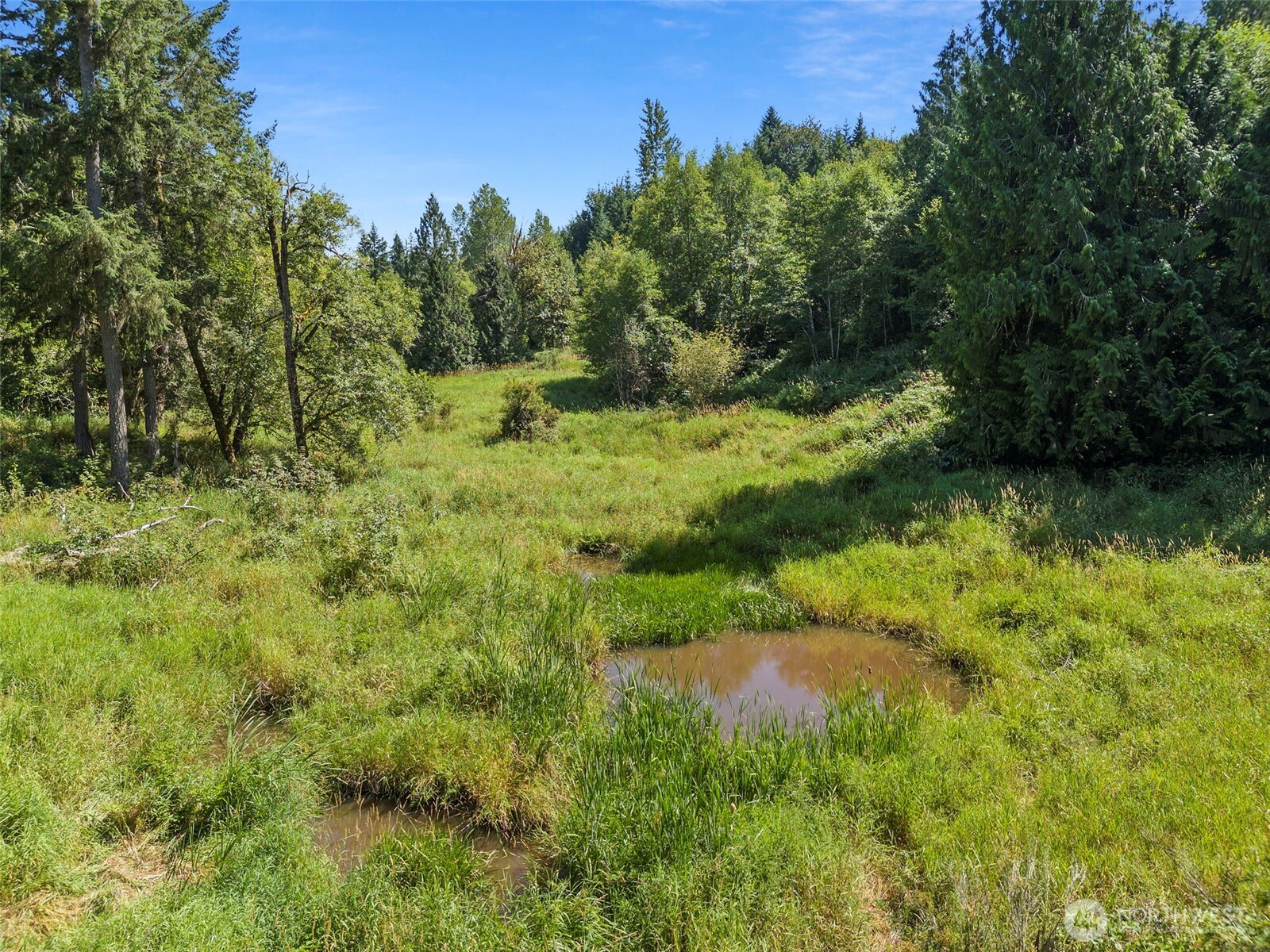 317 Cousins Road Chehalis, WA 98532 - Photo 40 of 40 a view of a yard with a tree