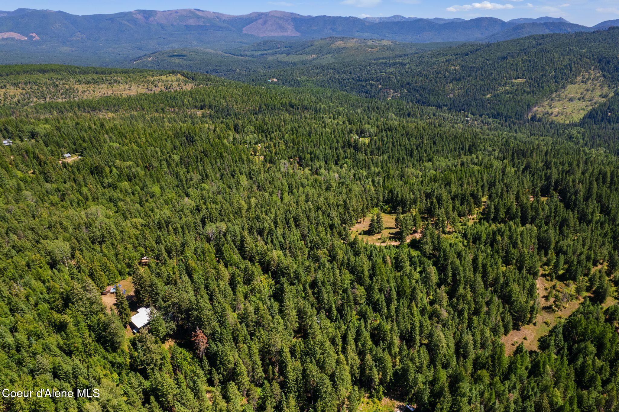 2494 Gold Creek Ridge Road Sandpoint, ID 83864 - Photo 51 of 66 50_DJI_0418