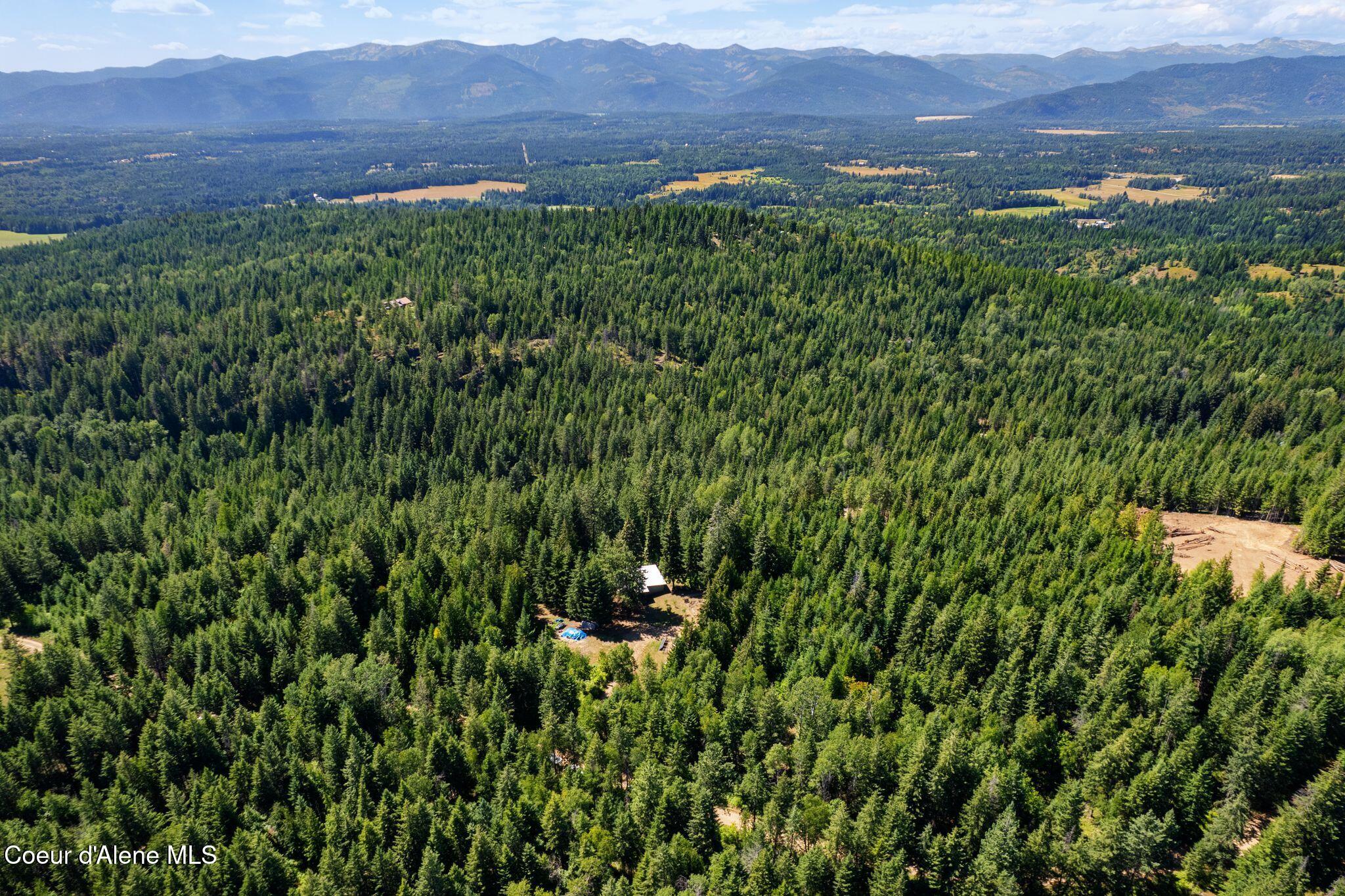 2494 Gold Creek Ridge Road Sandpoint, ID 83864 - Photo 55 of 66 54_DJI_0448