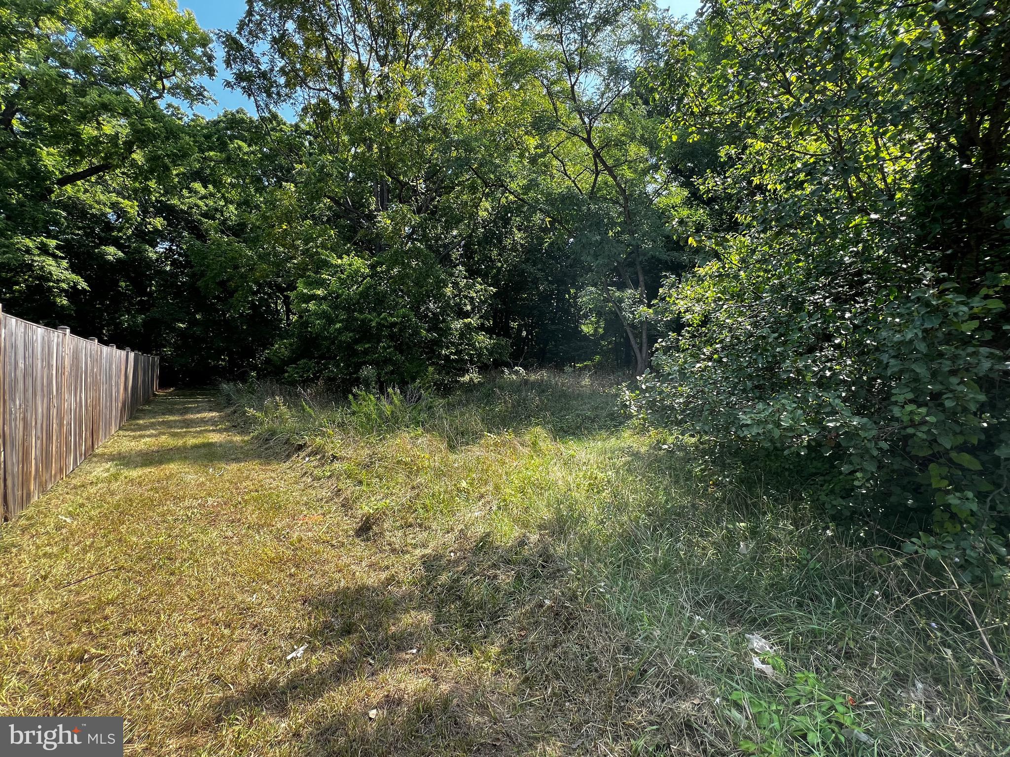 East Main Boyce, VA 22620 - Photo 4 of 38 Left property line.