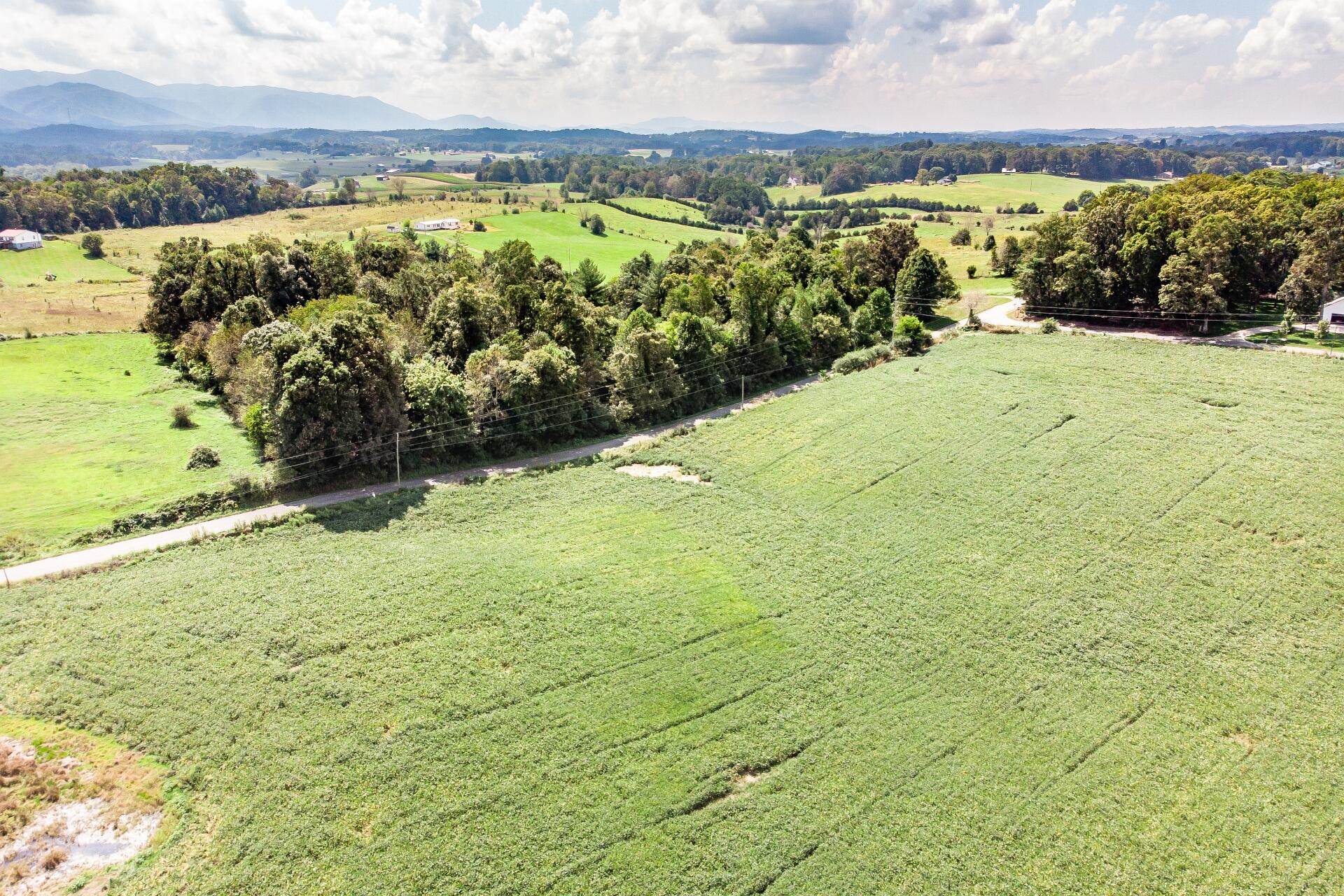 0 Barren Valley Road Chuckey, TN 37641 - Photo 3 of 40 BarrenValleyG_030