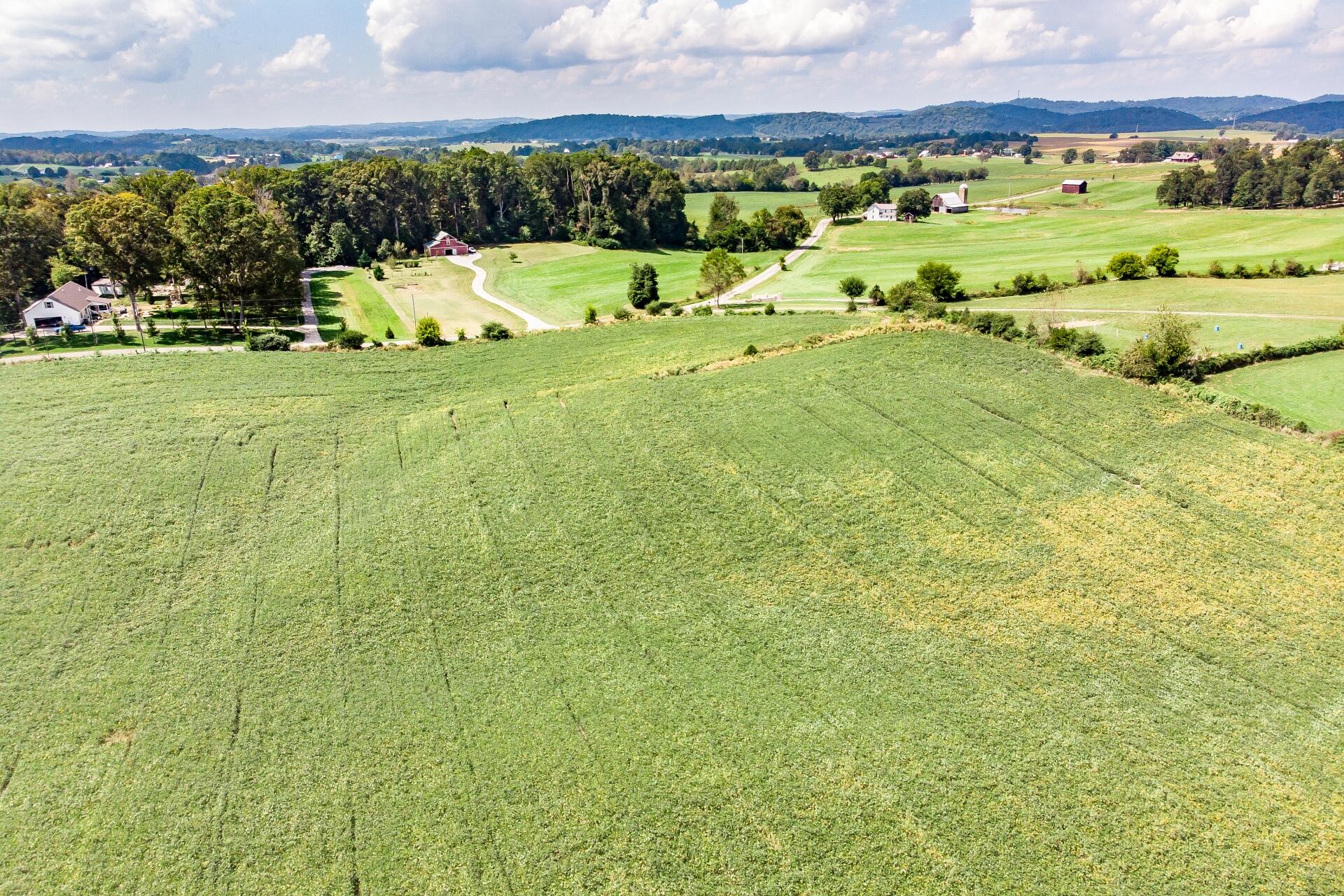 0 Barren Valley Road Chuckey, TN 37641 - Photo 22 of 40 BarrenValleyG_028