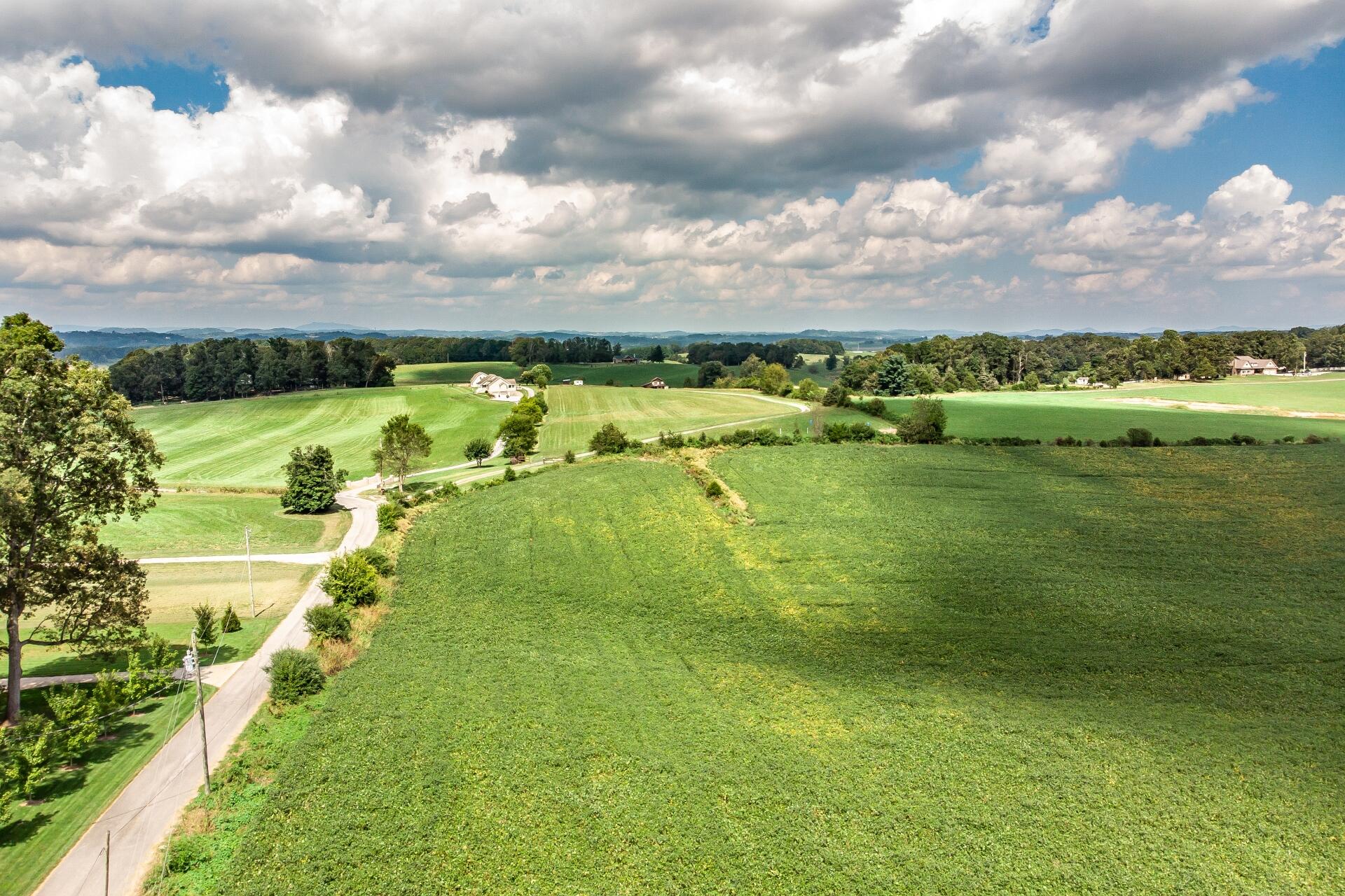 0 Barren Valley Road Chuckey, TN 37641 - Photo 4 of 40 BarrenValleyG_012