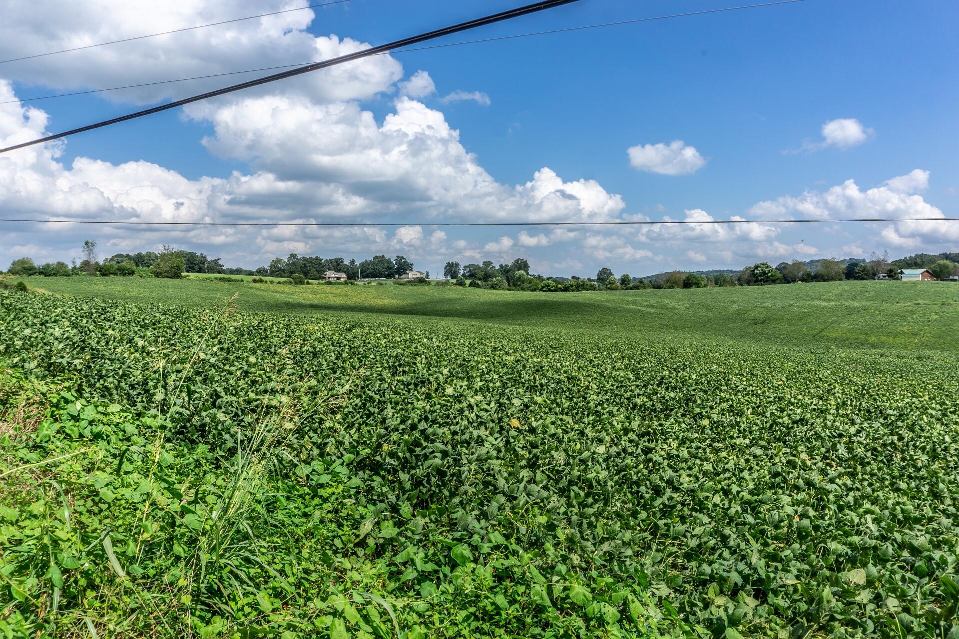 0 Barren Valley Road Chuckey, TN 37641 - Photo 40 of 40 BarrenValleyG_001