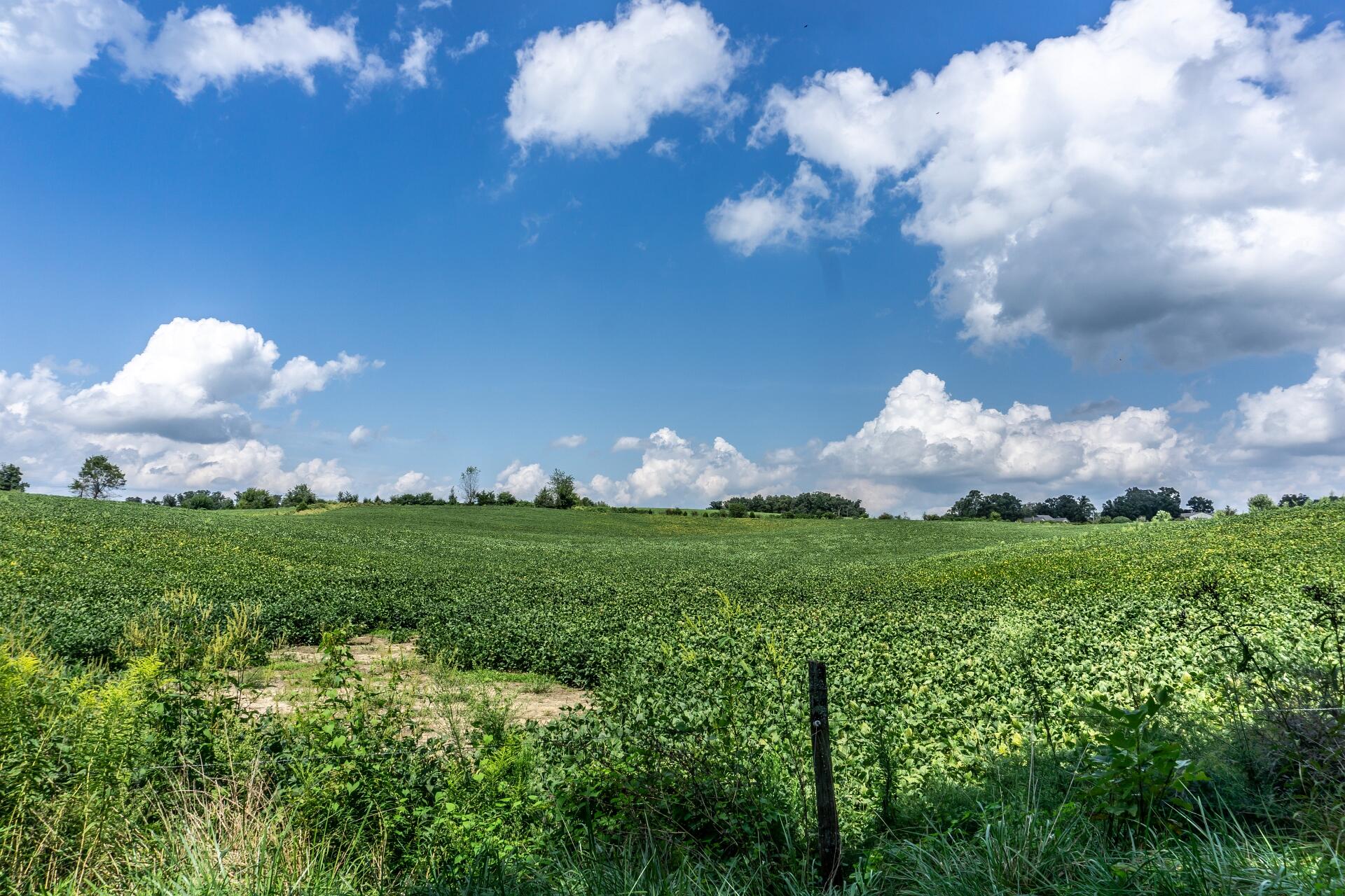 0 Barren Valley Road Chuckey, TN 37641 - Photo 6 of 40 BarrenValleyG_009