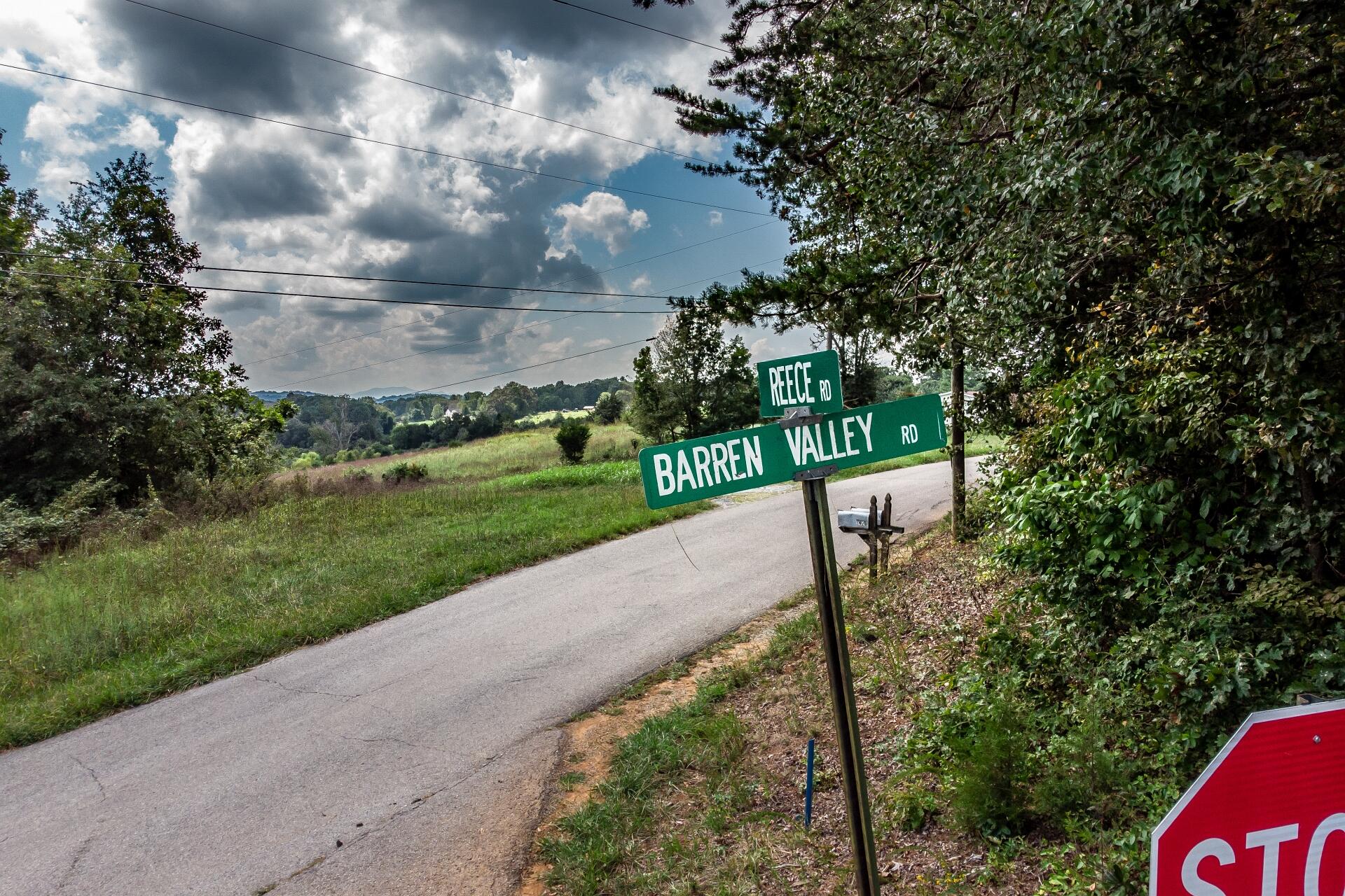 0 Barren Valley Road Chuckey, TN 37641 - Photo 7 of 40 BarrenValleyG_051