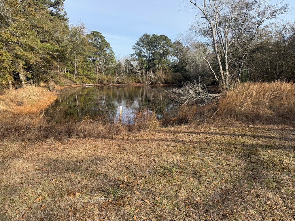 209 Pond View Lane Opp, AL 36467 - Photo 14 of 28