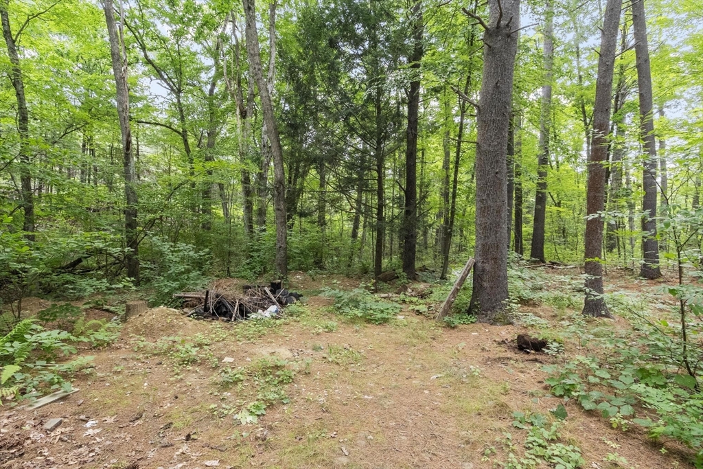 37 Swamp Road Montague, MA 01351 - Photo 4 of 42 Gallery Image 4