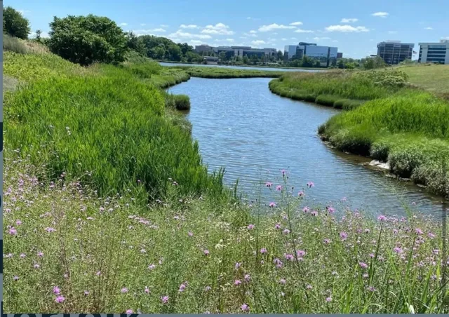 $2,850 | 55 Port Norfolk Street, Unit 3, Boston, MA 02122