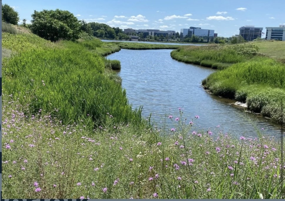55 Port Norfolk Street, Unit 3 Boston, MA 02122 - Photo 14 of 15 a view of a garden with lawn chairs