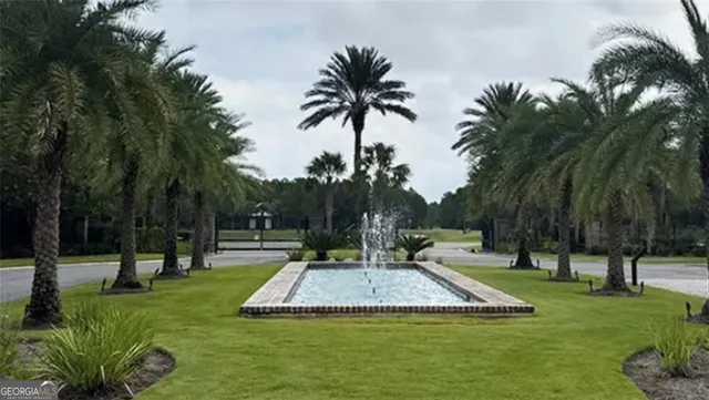 a view of a park with palm trees