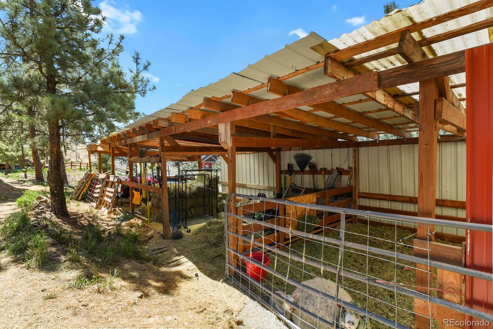 150 Julia Road Guffey, CO 80820 - Photo 42 of 50
