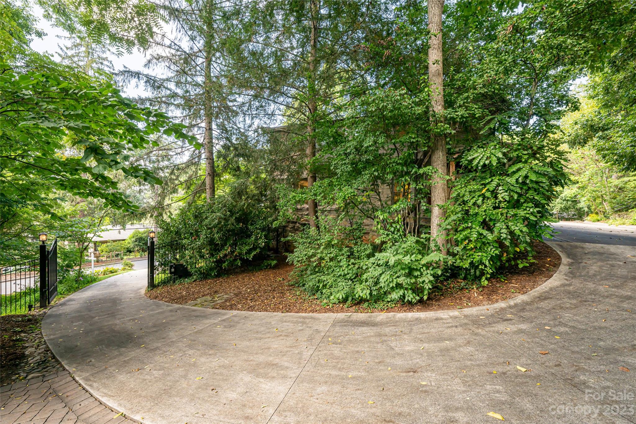 27 Edgewood Road Asheville, NC 28804 - Photo 40 of 48 a view of a garden with plants