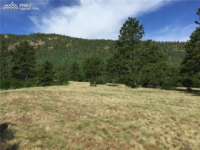 Redstone Ridge Road Monument, CO 80132 - Photo 3 of 20