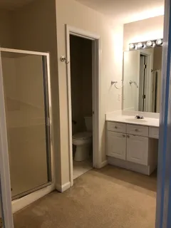 a bathroom with a double vanity sink a toilet and shower