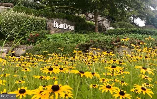 a view of a park with trees in the background
