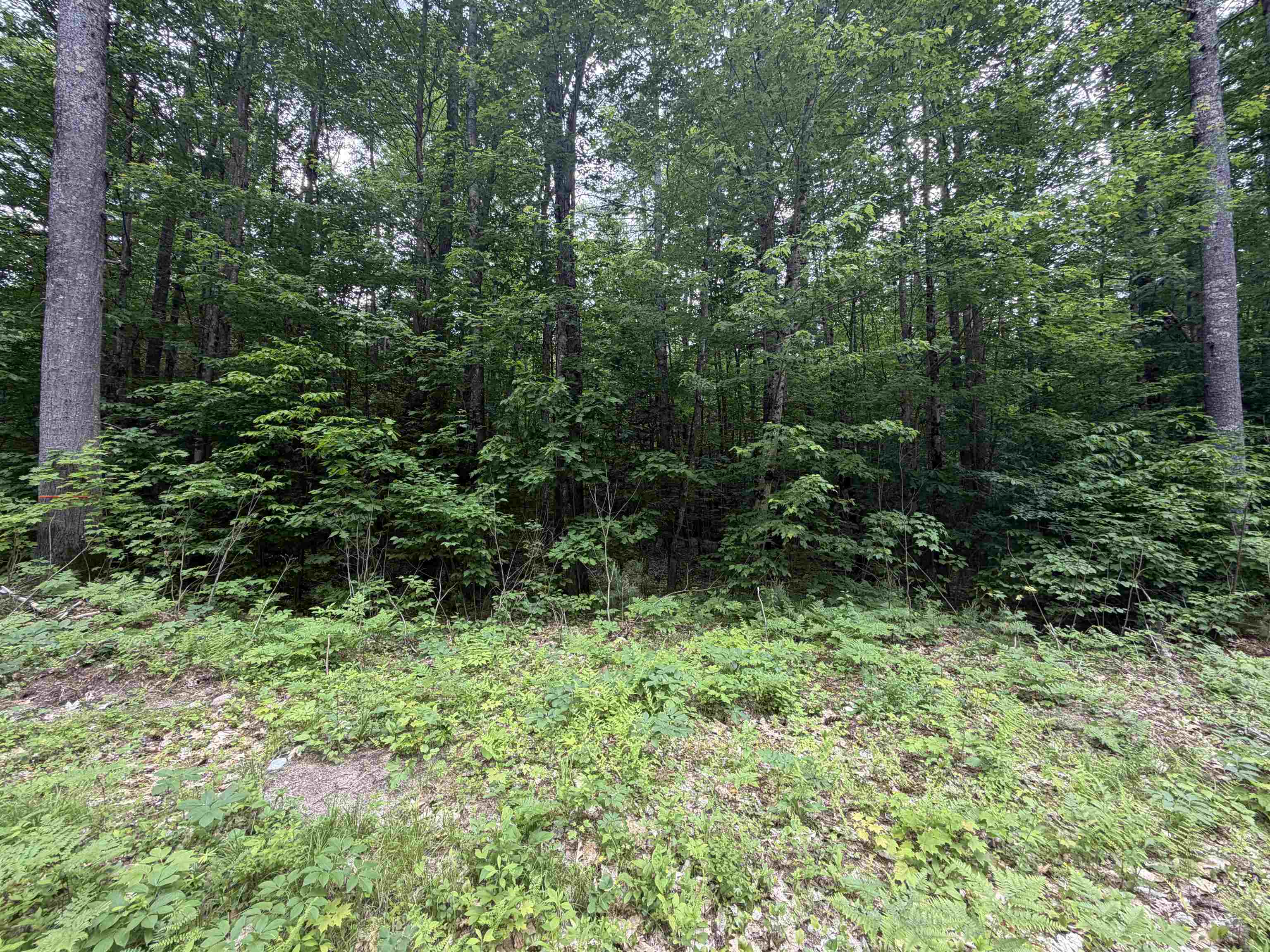 0 Rolling Ridge Road Bartlett, NH 03812 - Photo 4 of 6