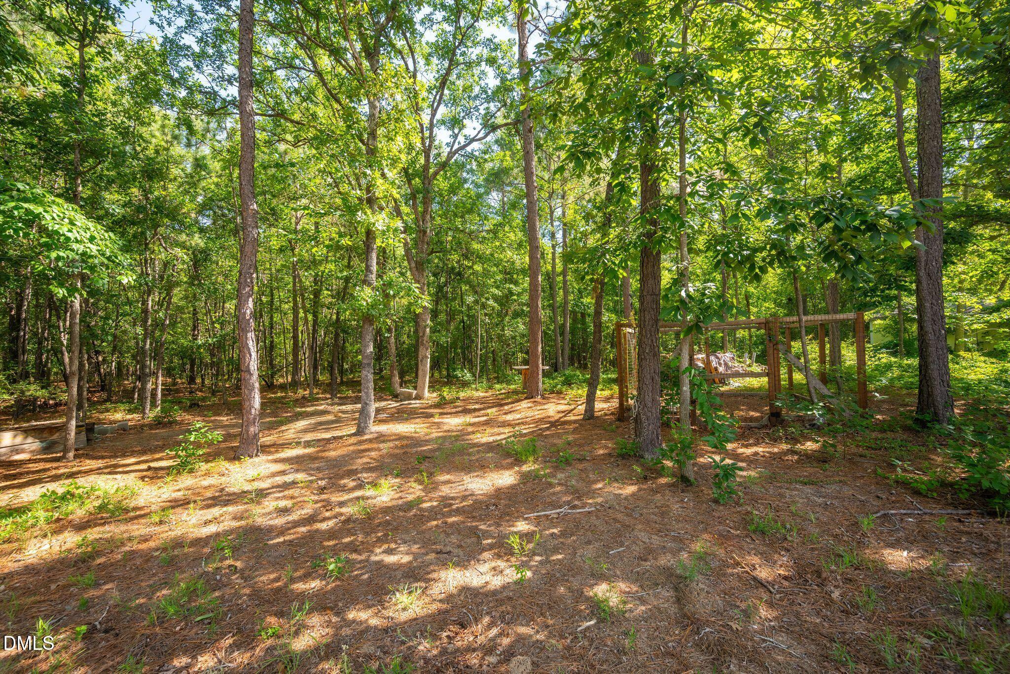 499 Jumping Run Road Dunn, NC 28334 - Photo 67 of 90