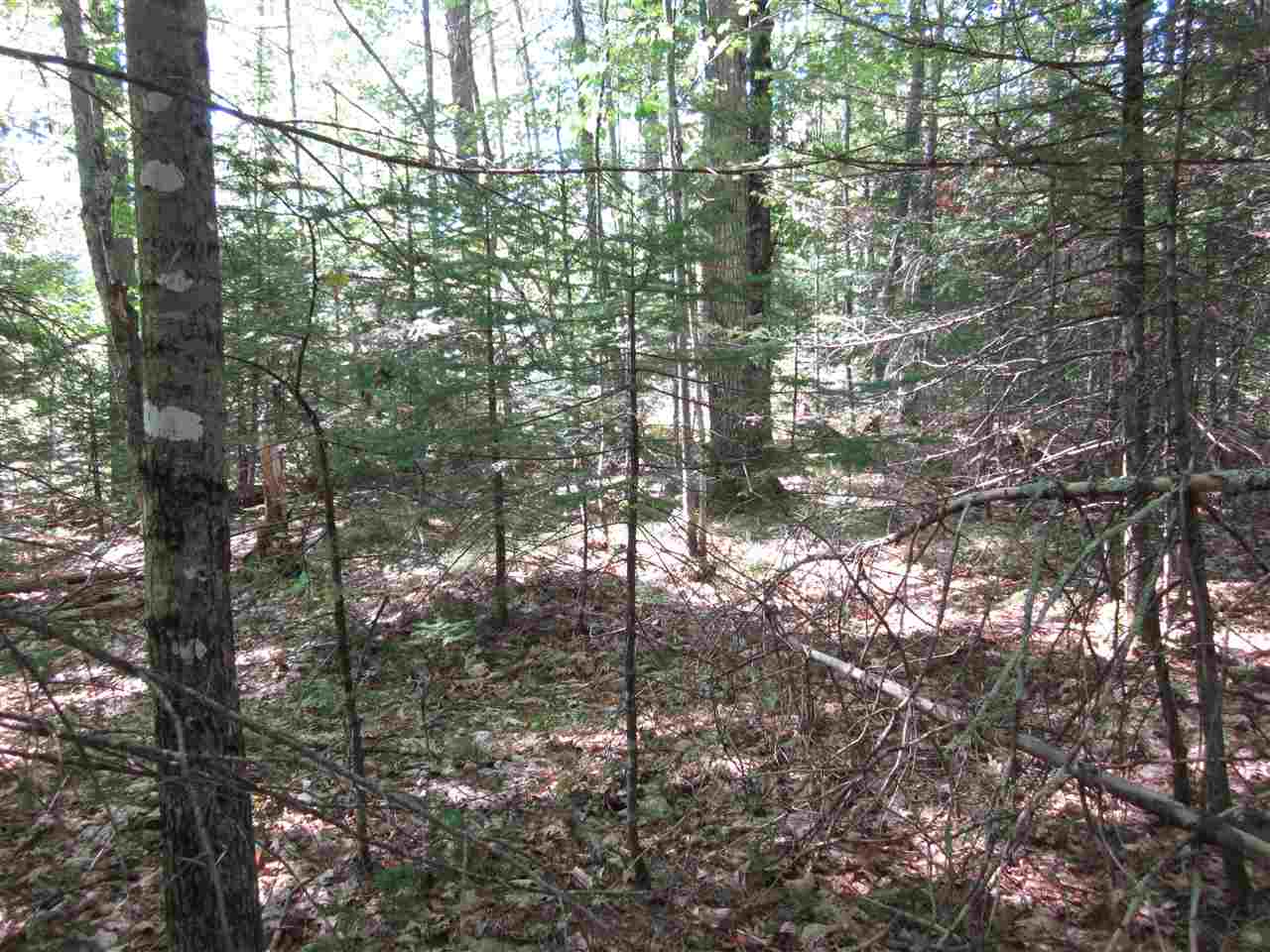 0 Tinkerville Road Lyman, NH 03585 - Photo 2 of 8